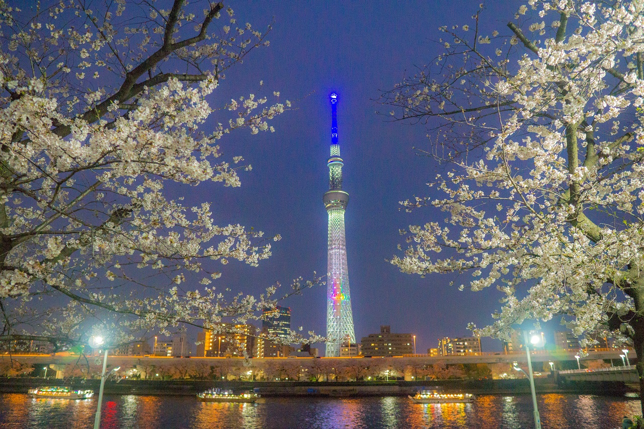 โตเกียวสกายทรี (Tokyo Skytree)